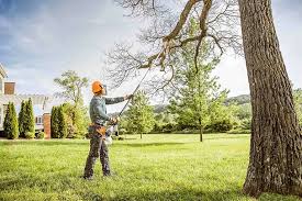 Reliable Pecan Acres, TX Tree Services Solutions